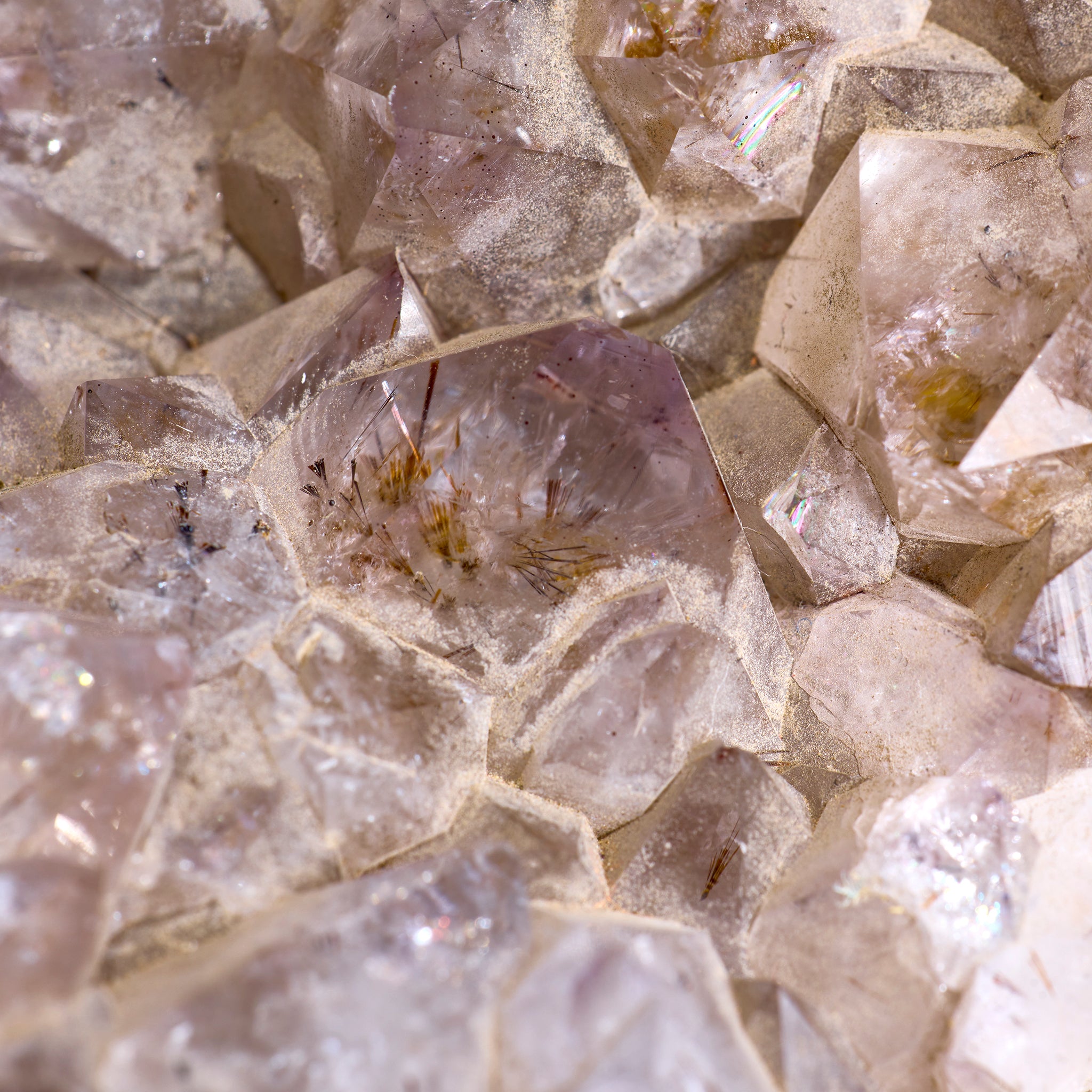 Close-up of crystal formations with a spider on a crystal.