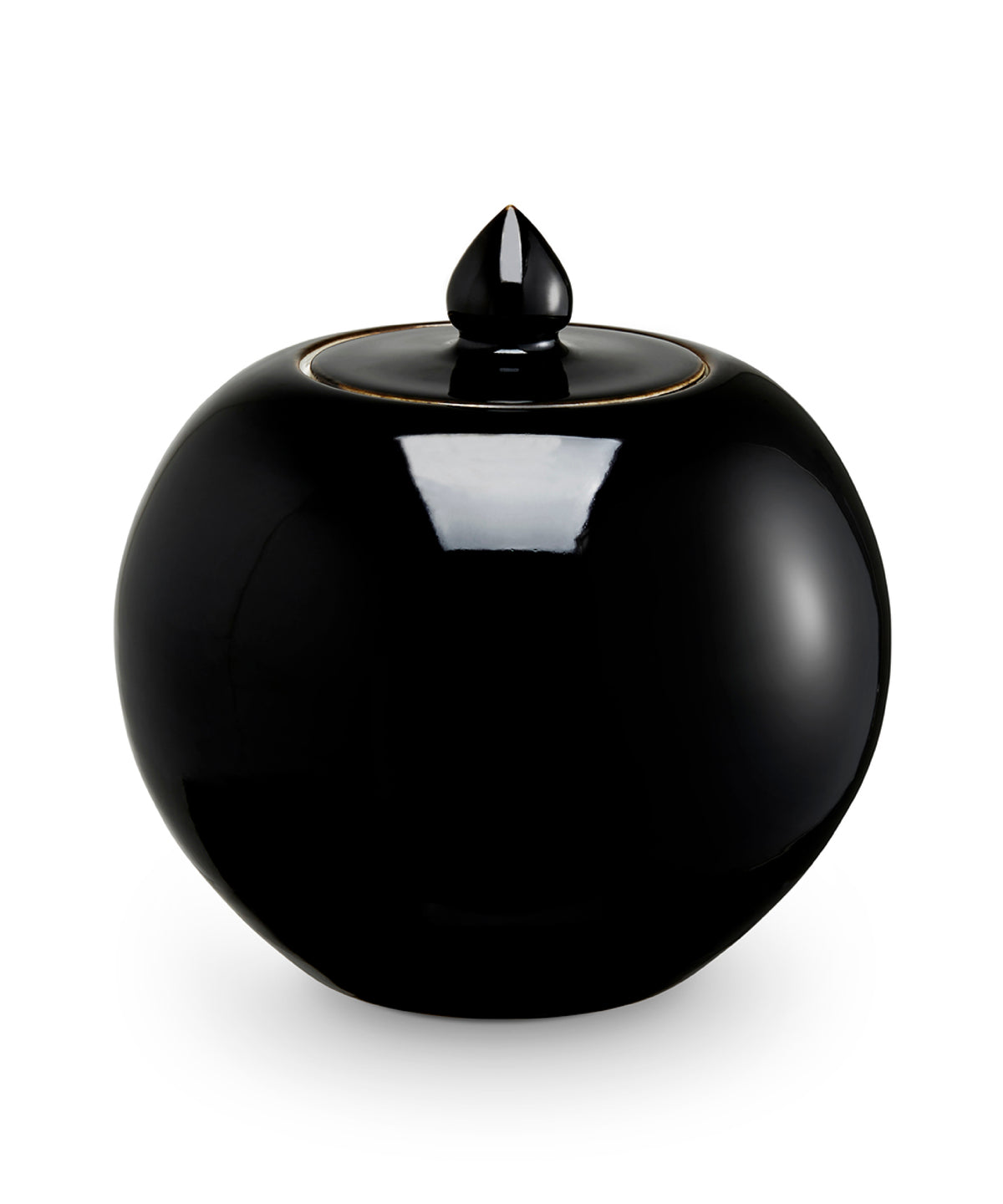 Black ginger jar on white background