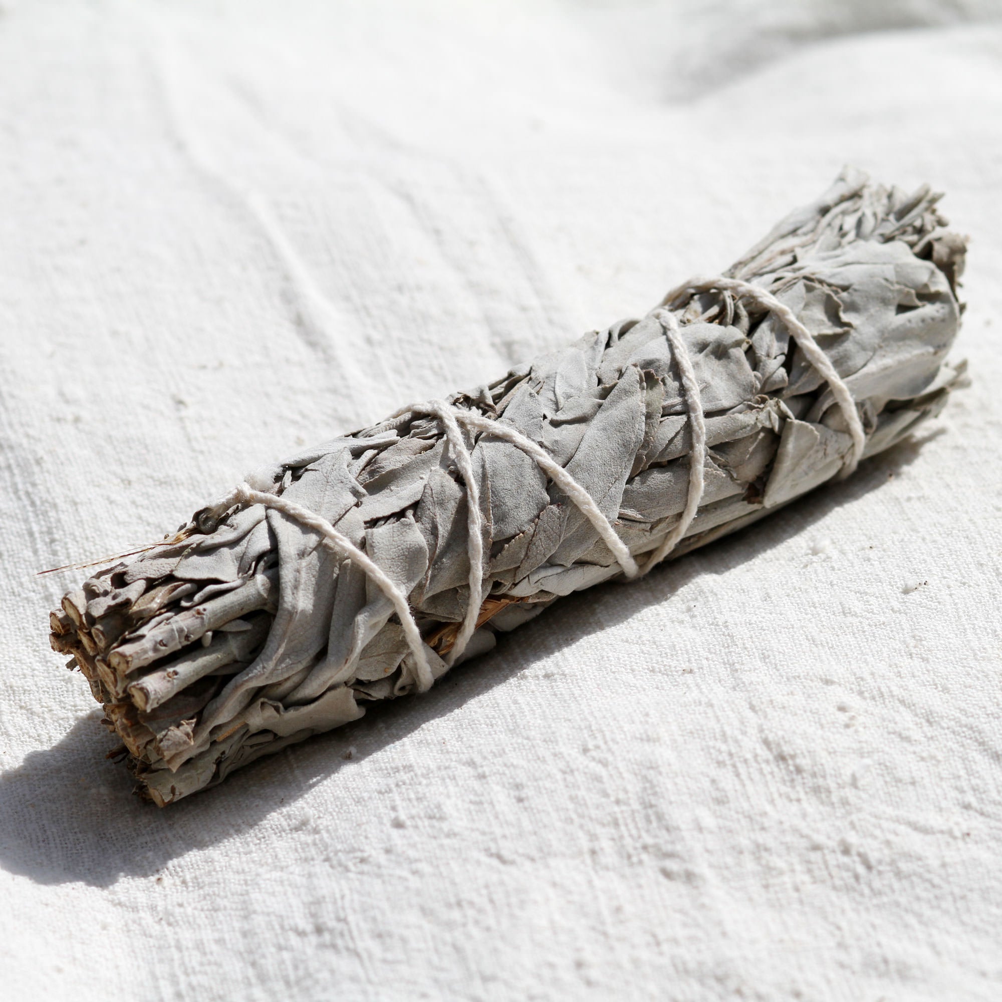 Bundled sage on a white fabric background