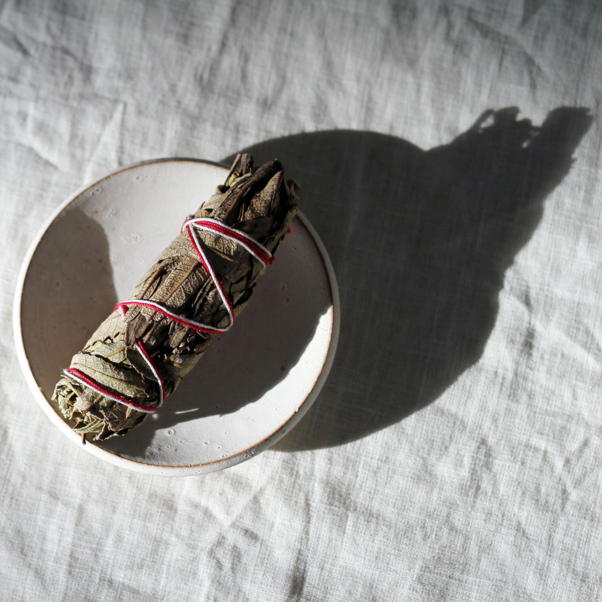 Sage bundle wrapped with red string on a white ceramic plate against a textured gray background