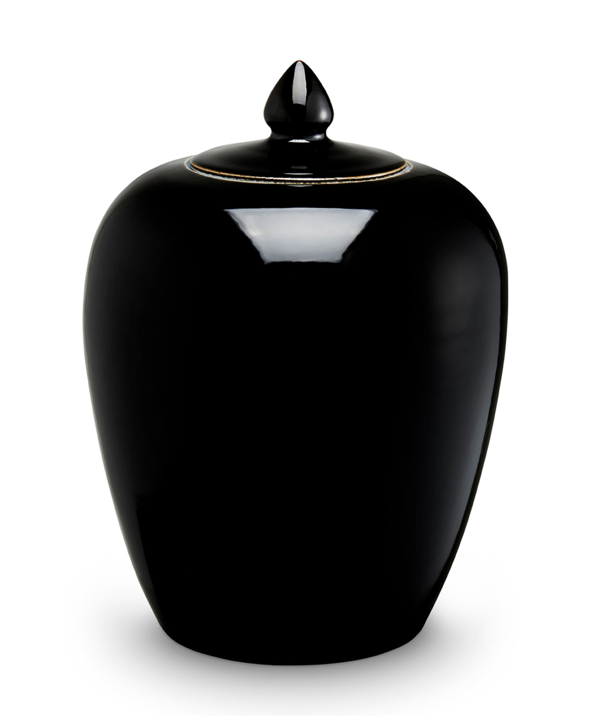 Black ceramic jar with a lid on a white background