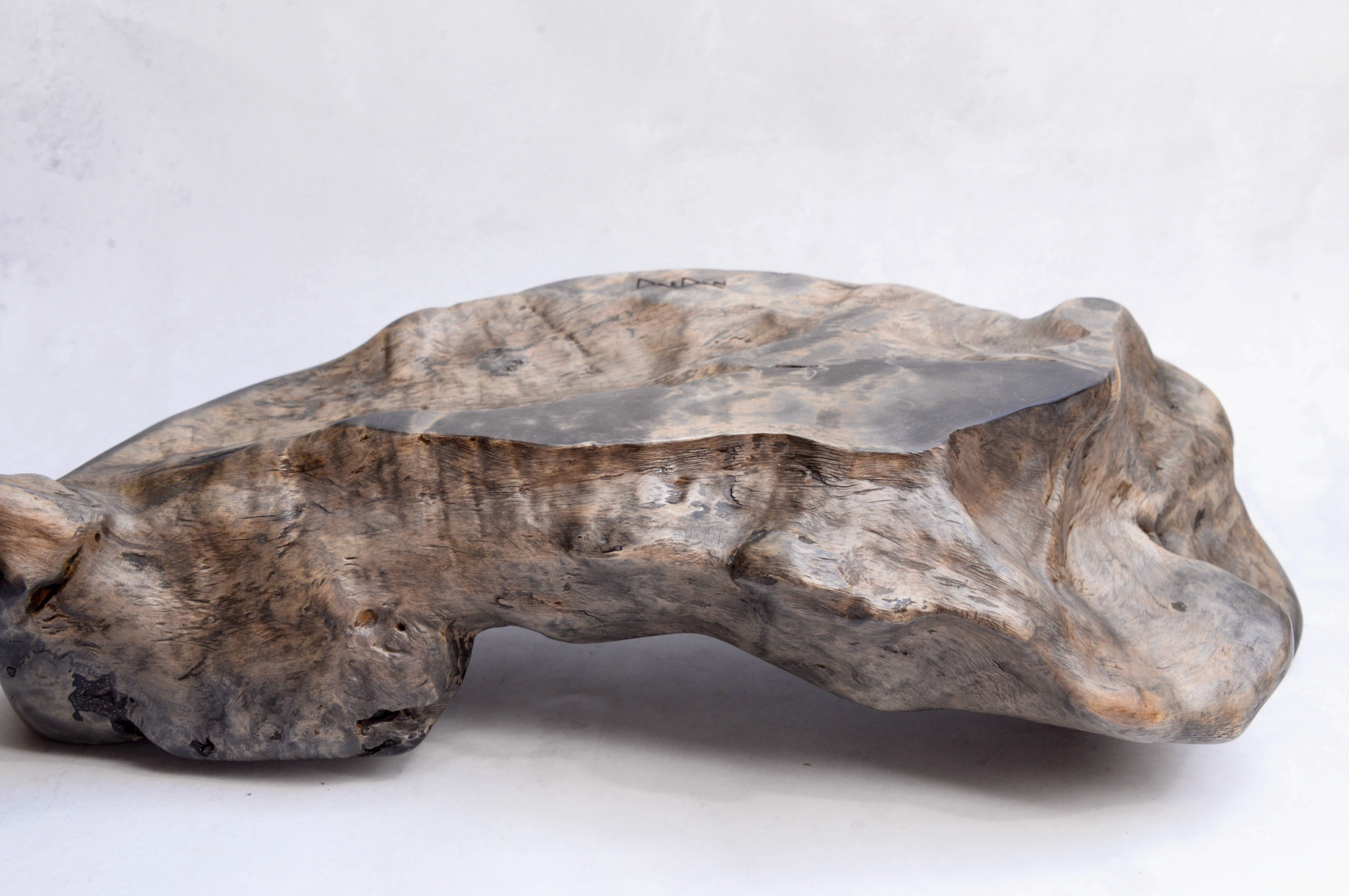Large piece of driftwood on a white background