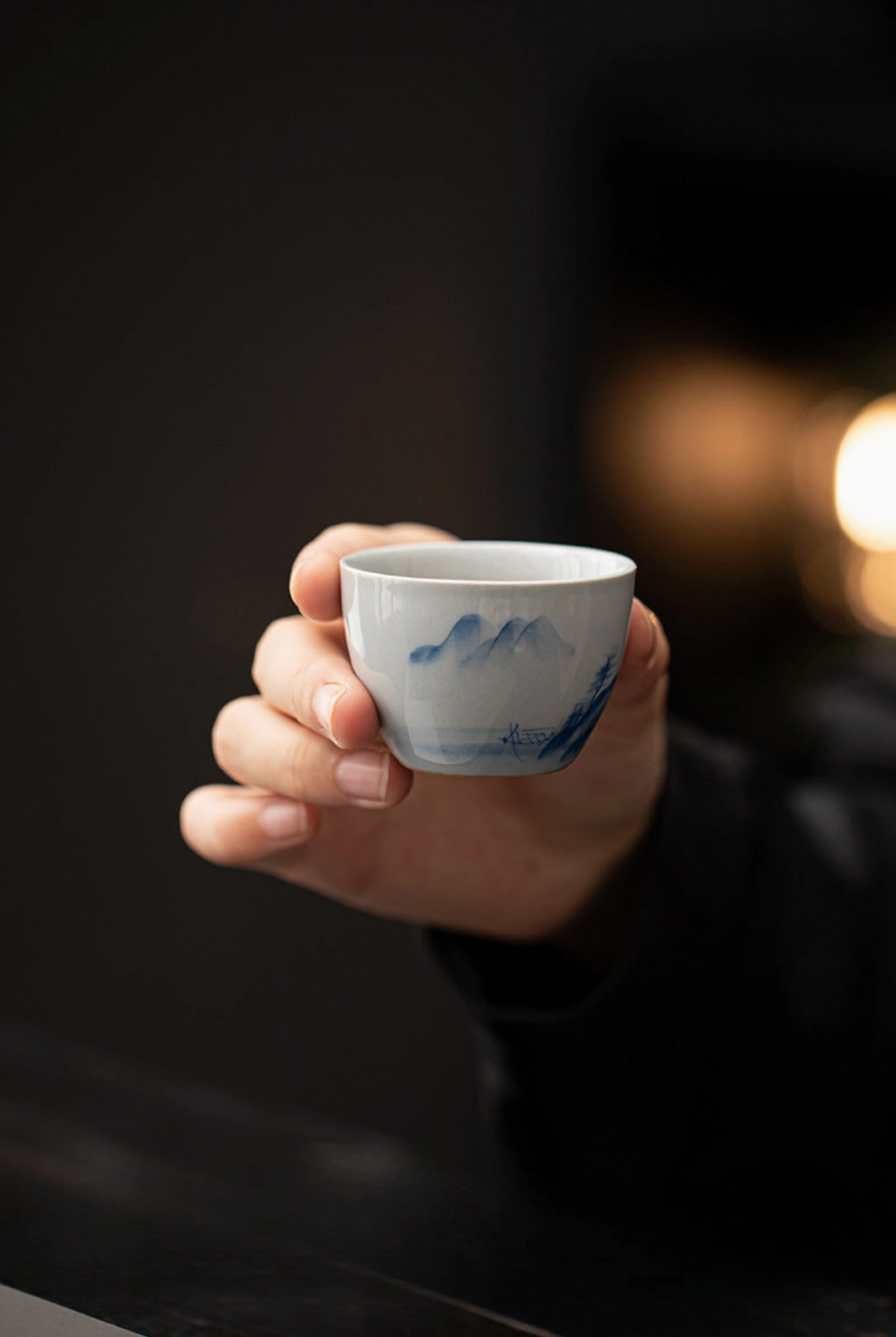Hand-Painted Travel Teapot Gaiwan Set