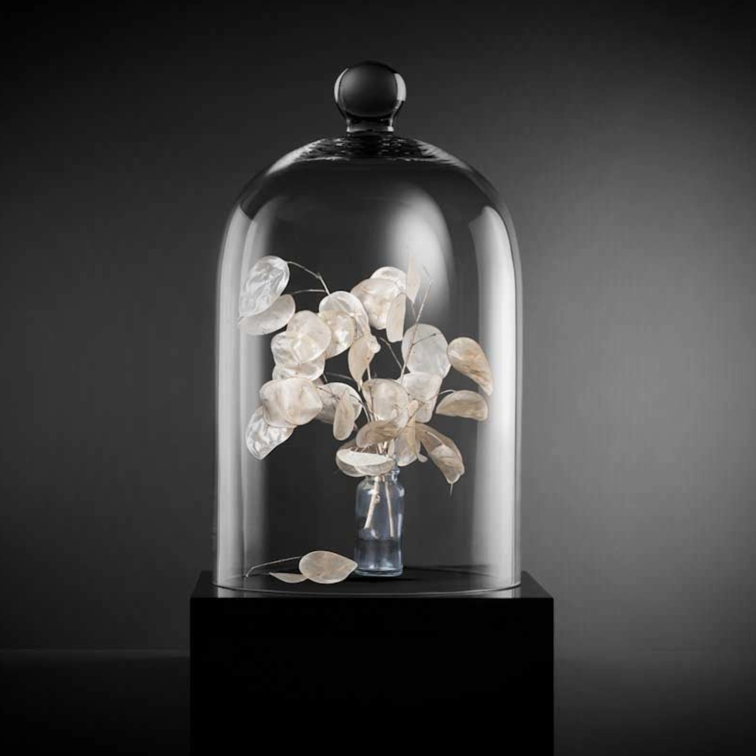 Glass dome with a vase of flowers on a dark background