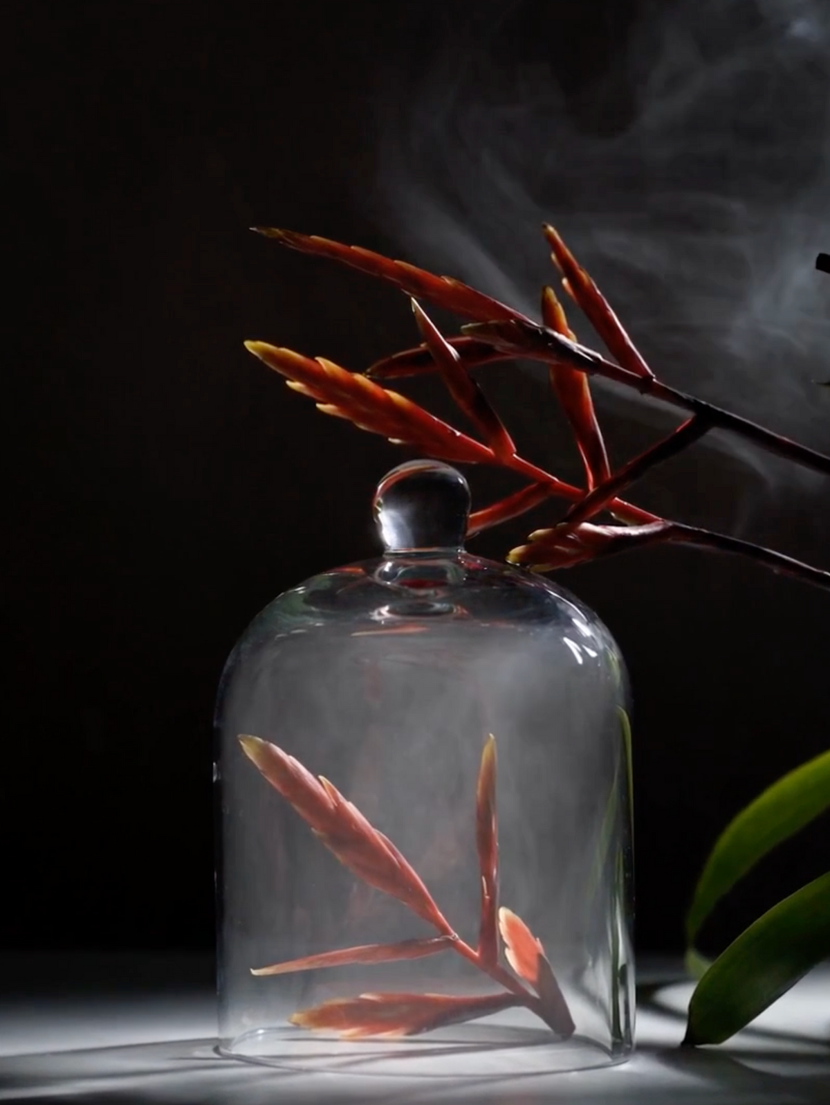 How to Transition Your Home for Autumn: The Considered Approach