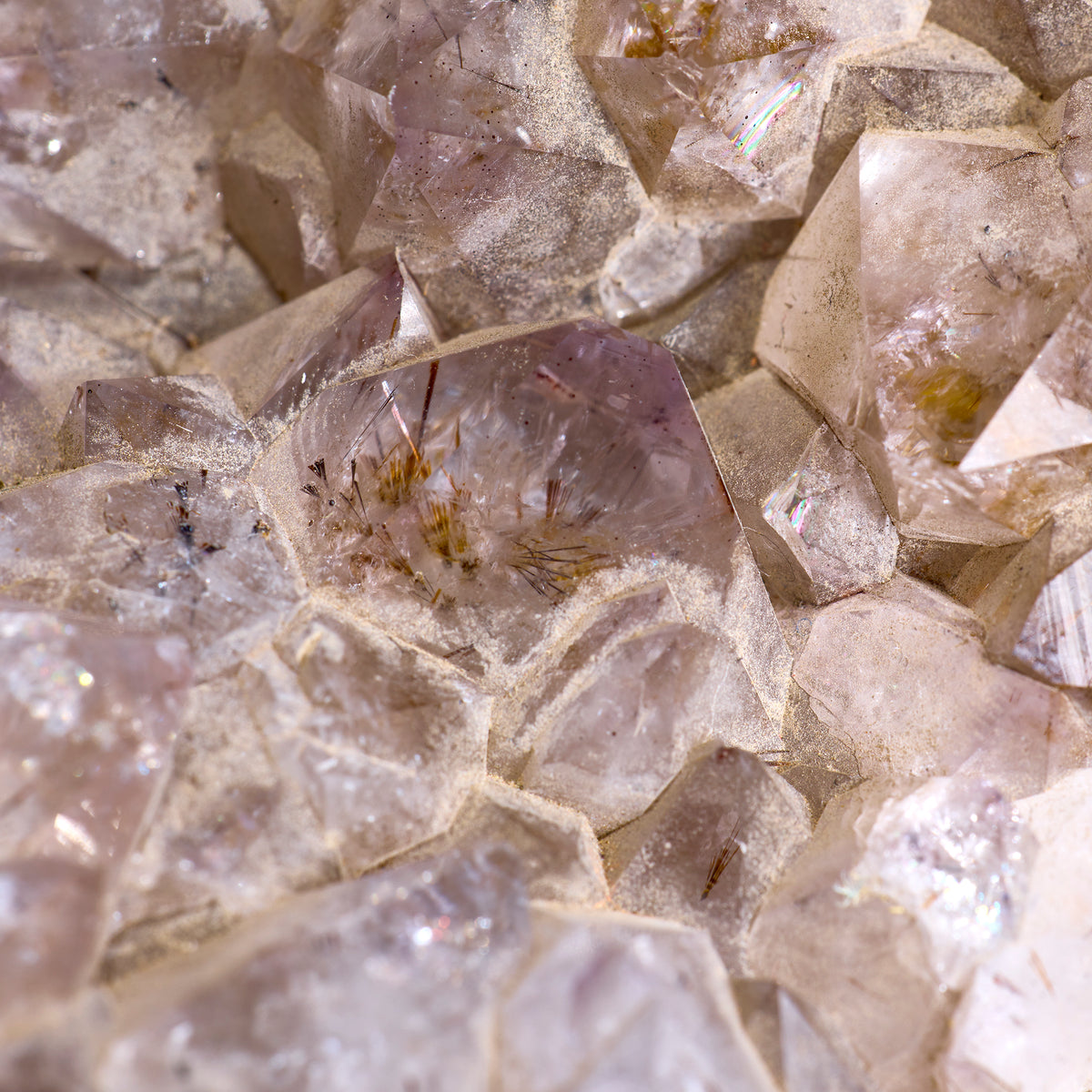 Close-up of crystal formations with a spider on a crystal.