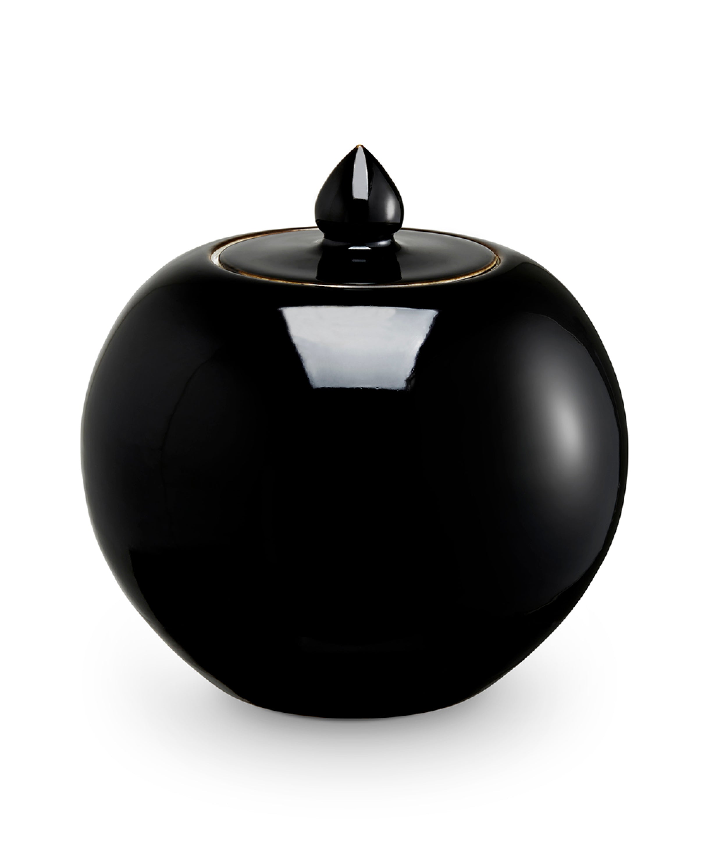 Black ginger jar on white background