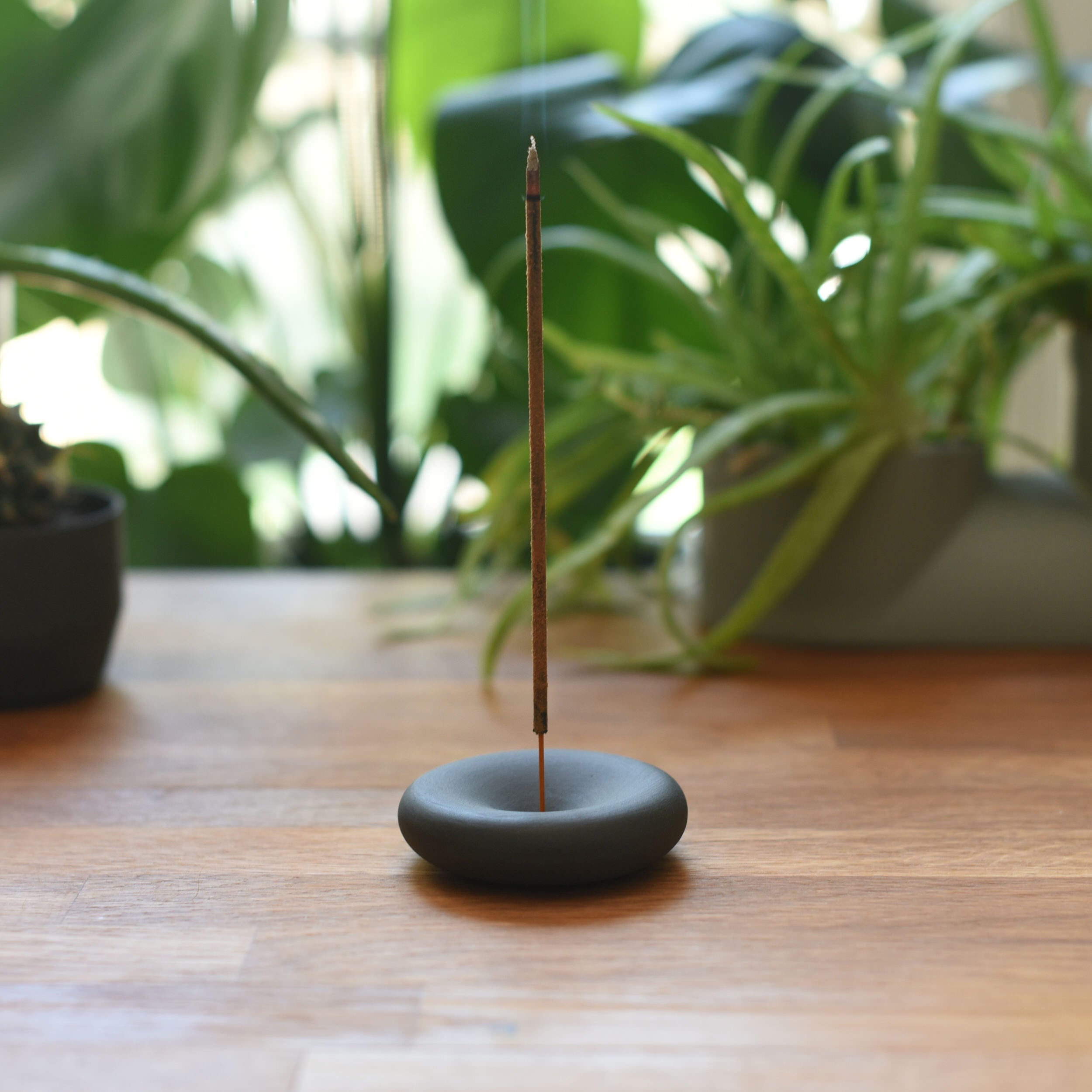 Incense stick in a holder on a wooden surface with plants in the background