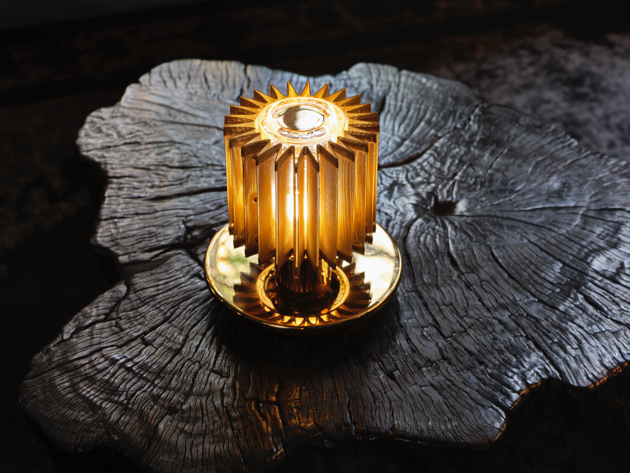 Gold decorative light fixture on a textured dark surface