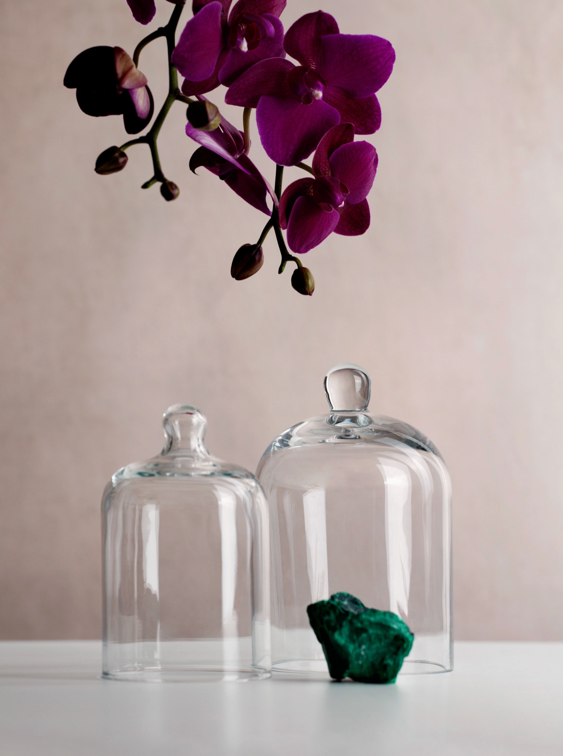 Clear glass domes with a purple orchid and green rock on a neutral background