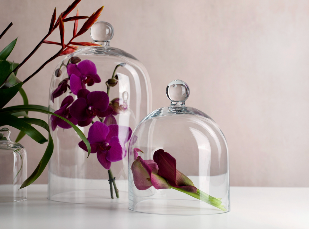 Glass domes with purple orchids on a light surface and beige background