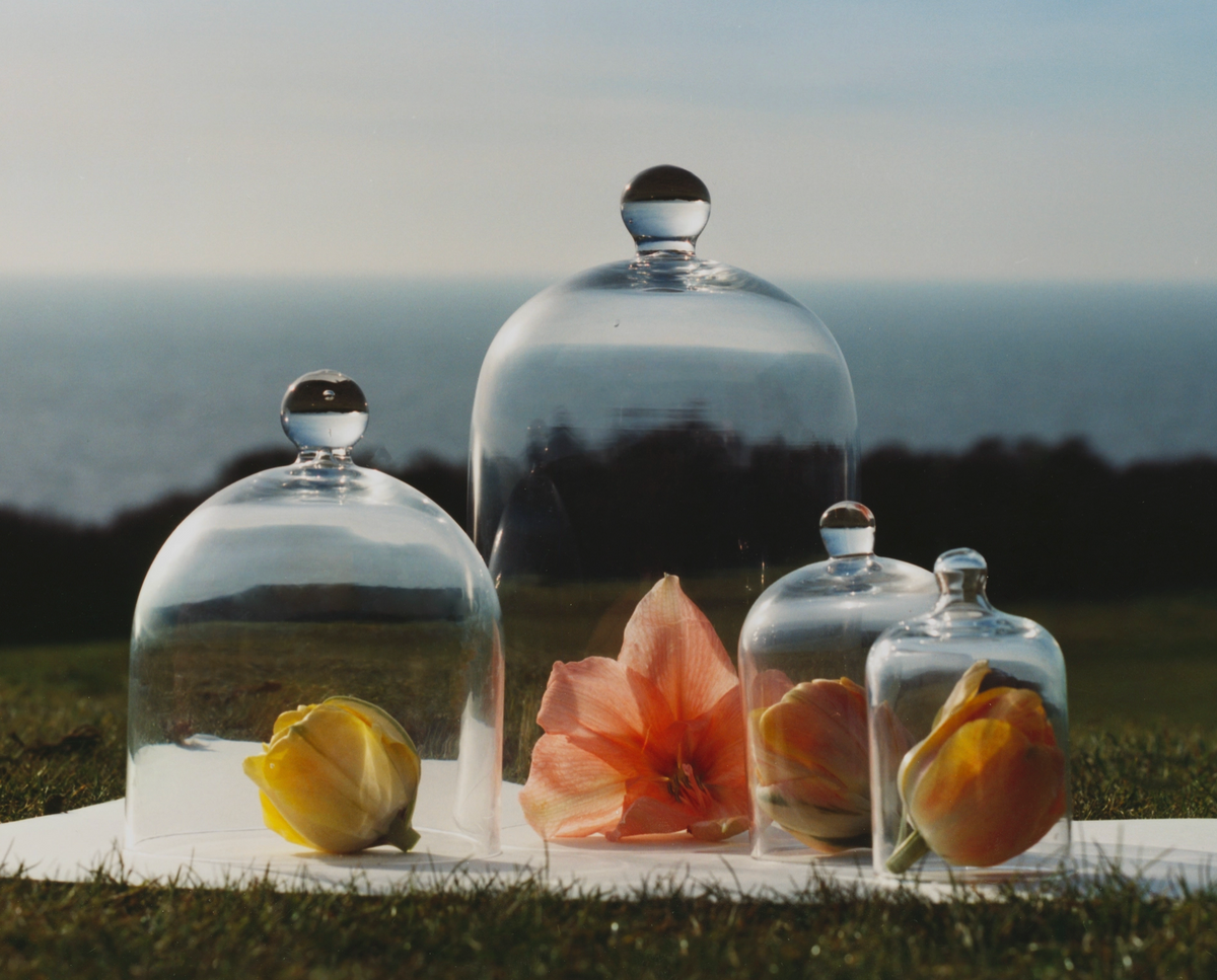 Glass domes with flowers on a grassy surface